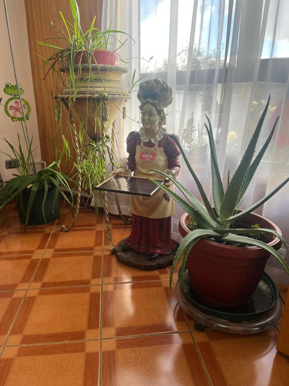 Hostal Espanol Coyhaique Εξωτερικό φωτογραφία